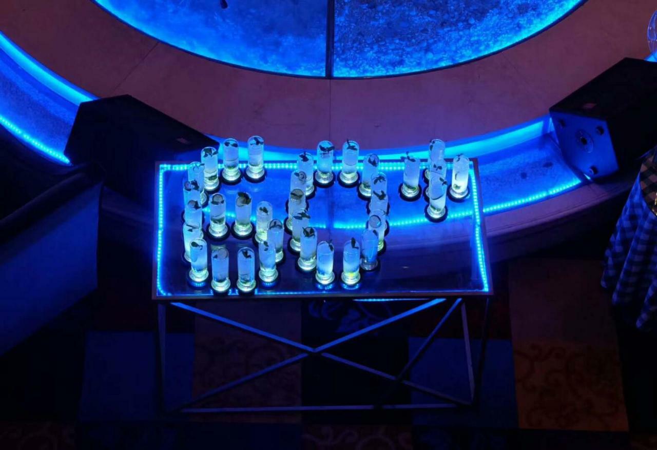 Ramada Plaza Optics Valley Hotel Wuhan Eksteriør billede